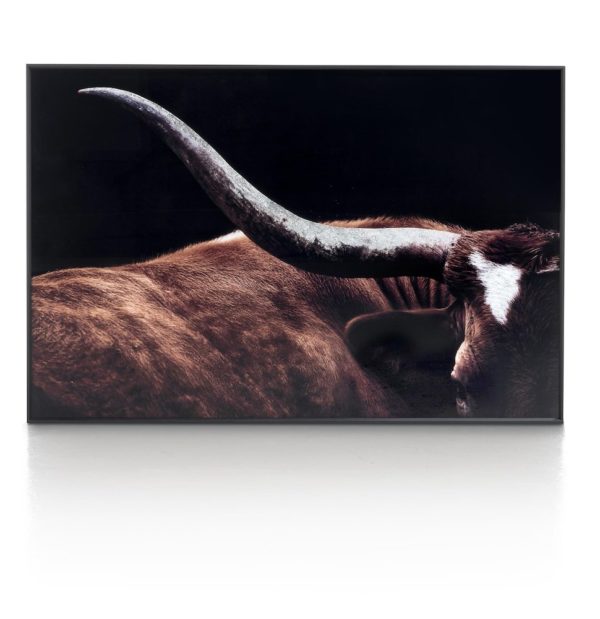 Rodeo painting 120 x 80 cm.